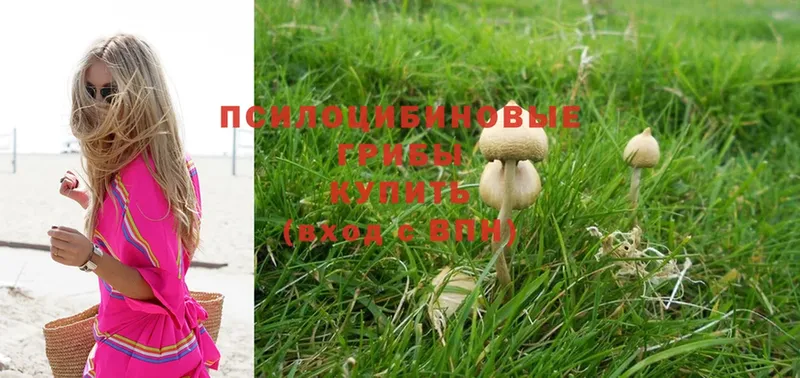 Псилоцибиновые грибы Magic Shrooms  Мыски 